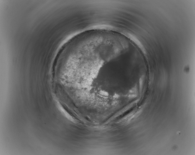 X0000091341037200709071214