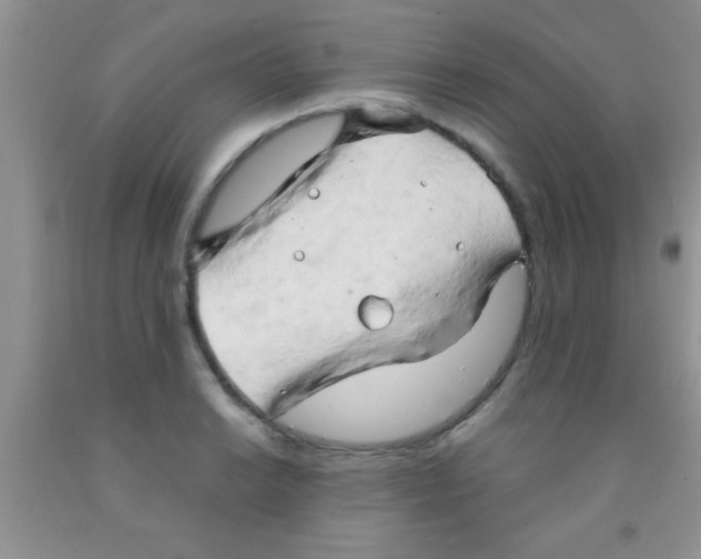 X0000091341038200709071214