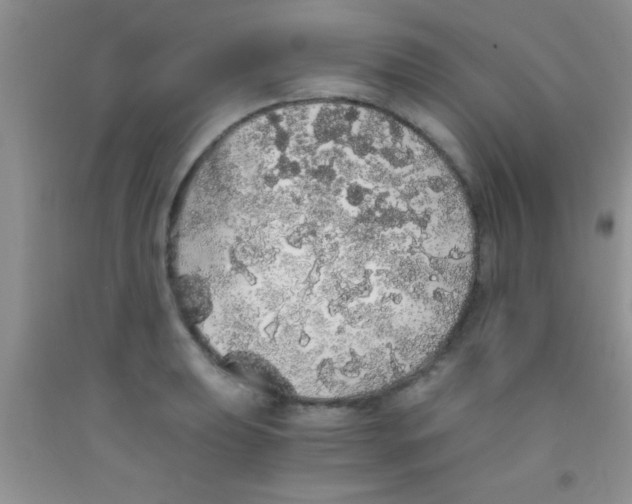 X0000091341039200709071214