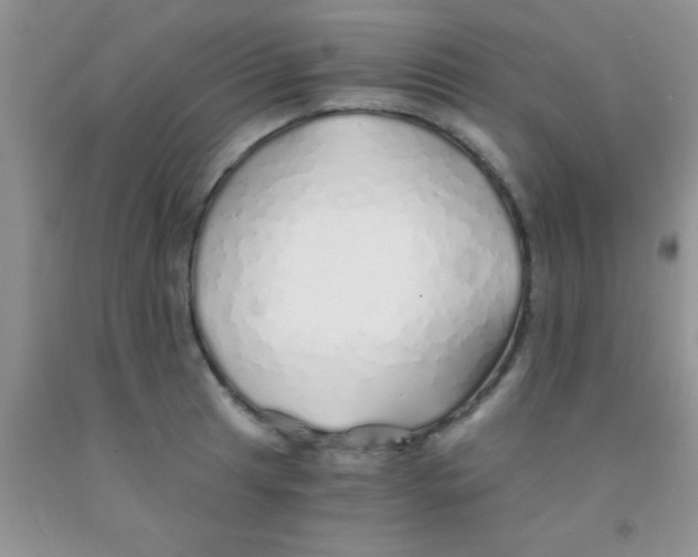 X0000091341041200709071214