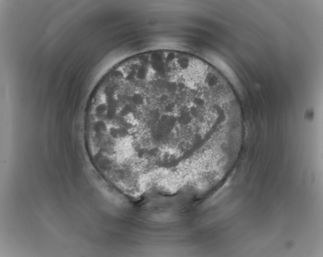 X0000091341043200709071214