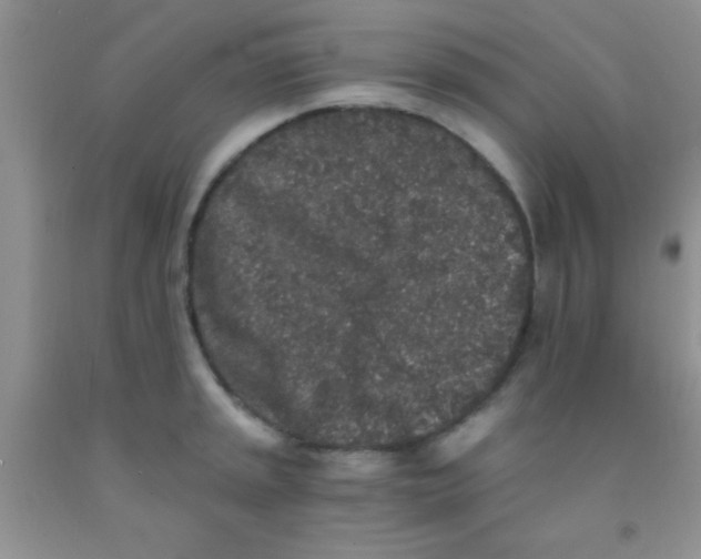 X0000091341045200709071214