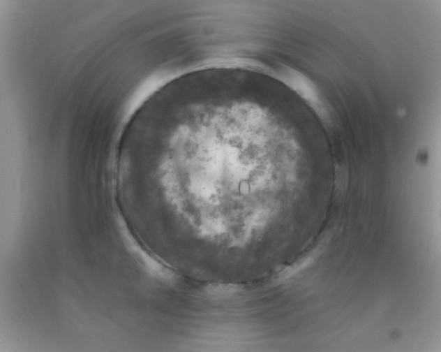 X0000091341046200709071214