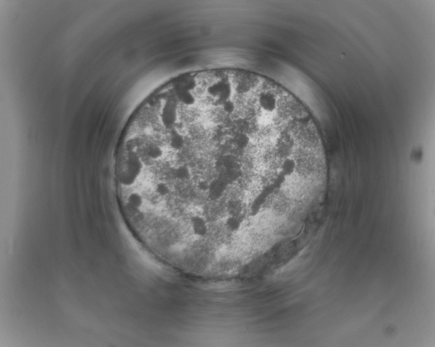 X0000091341047200709071214