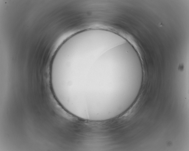 X0000091341048200709071214