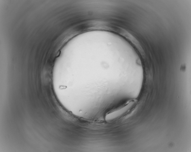 X0000091341049200709071214