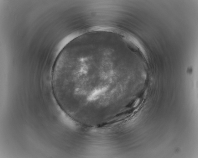 X0000091341050200709071214