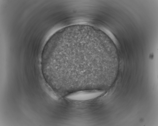 X0000091341051200709071214