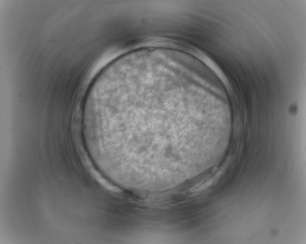 X0000091341053200709071214