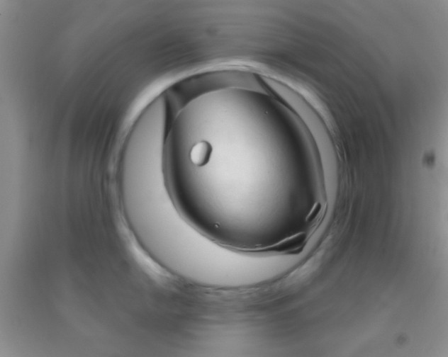 X0000091341054200709071214