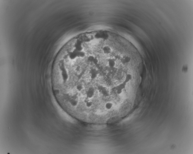 X0000091341055200709071214