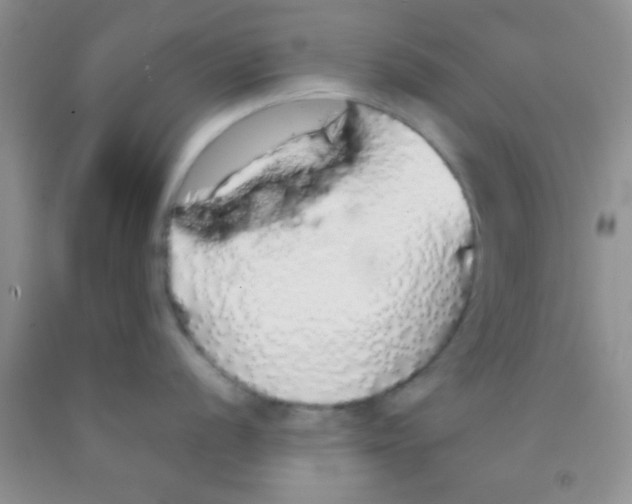 X0000091341056200709071214