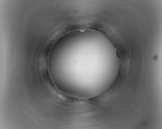 X0000091341058200709071213