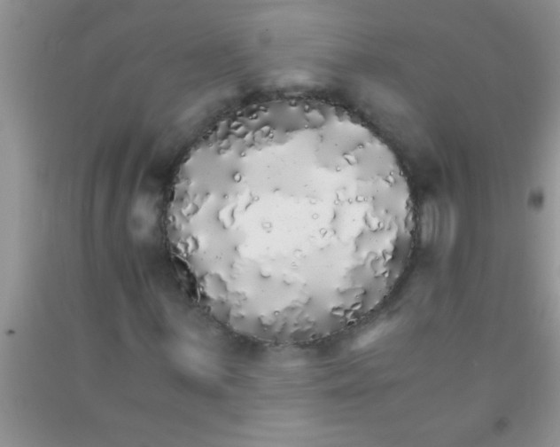 X0000091341059200709071213