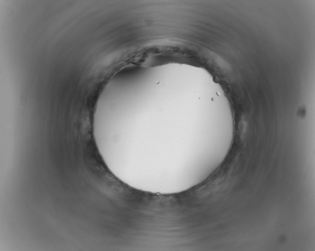 X0000091341062200709071213