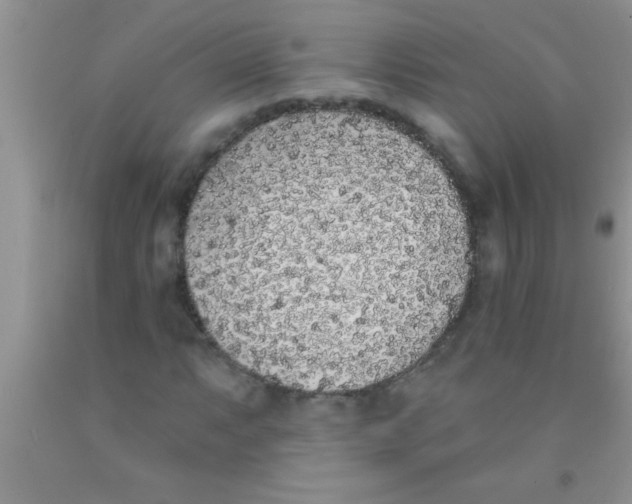 X0000091341063200709071213