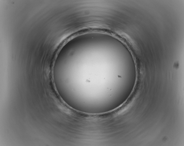 X0000091341065200709071213