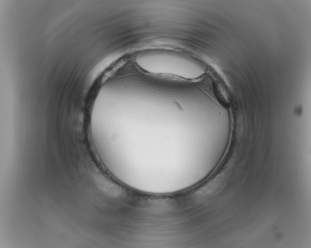 X0000091341066200709071213