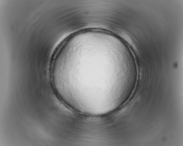 X0000091341068200709071213