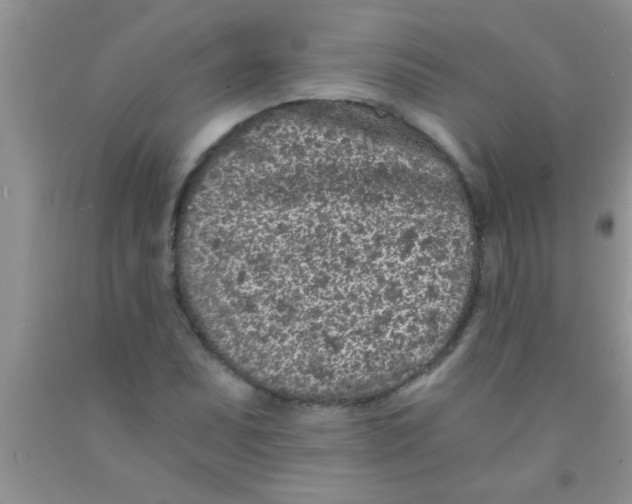 X0000091341071200709071213