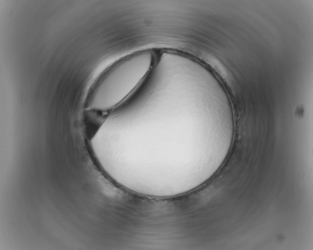 X0000091341072200709071213