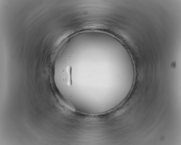 X0000091341073200709071213