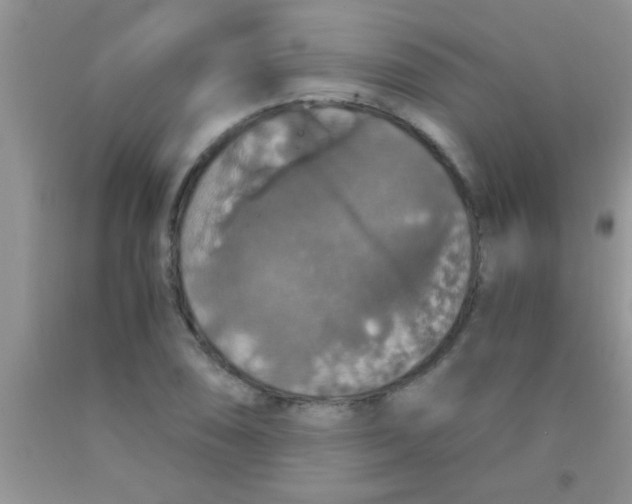 X0000091341074200709071213