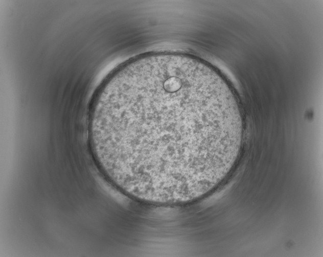 X0000091341075200709071213