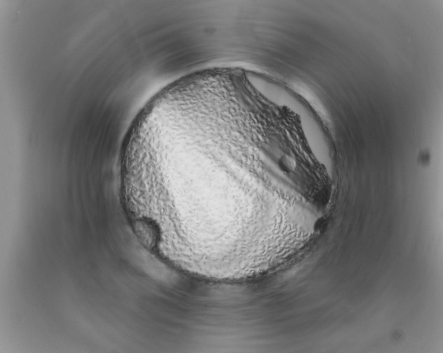 X0000091341076200709071213