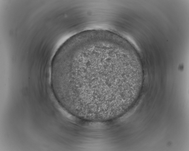 X0000091341079200709071213