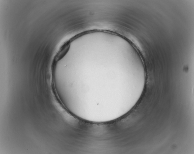 X0000091341080200709071213