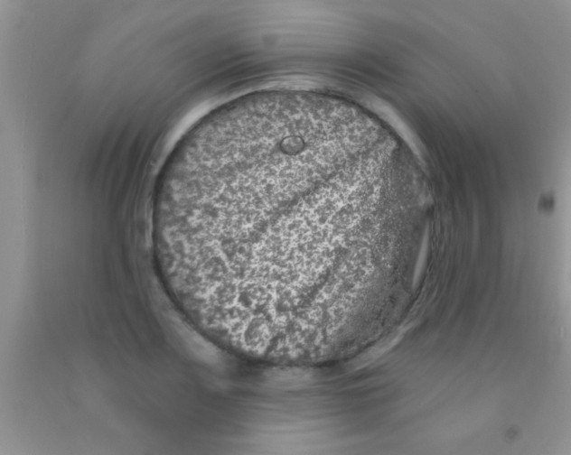 X0000091341083200709071213