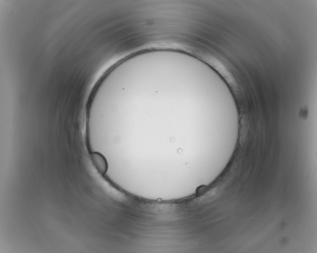 X0000091341084200709071213