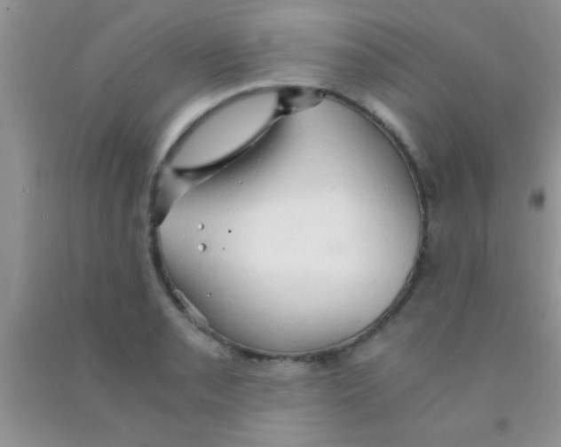 X0000091341085200709071213