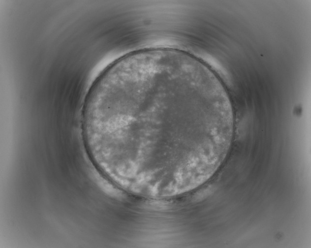 X0000091341086200709071213