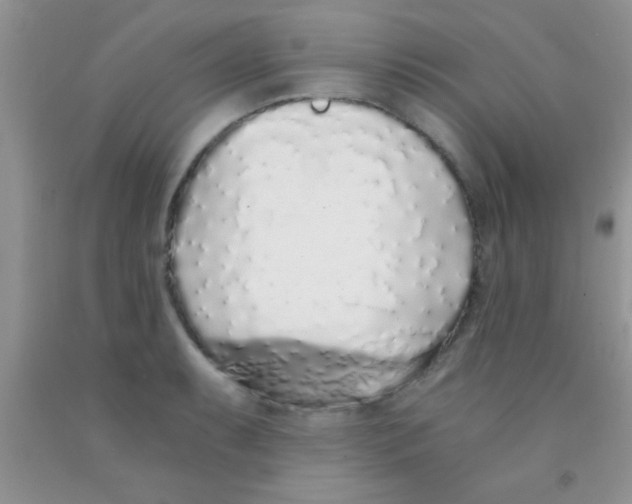 X0000091341087200709071213