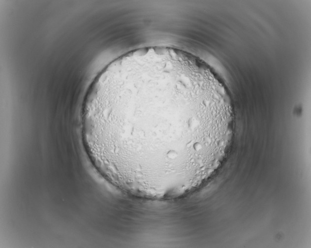 X0000091341088200709071213