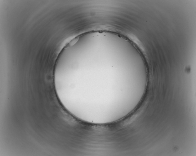 X0000091341089200709071213