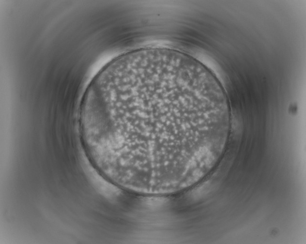 X0000091341090200709071213