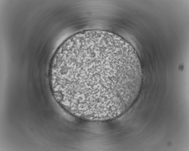 X0000091341091200709071213