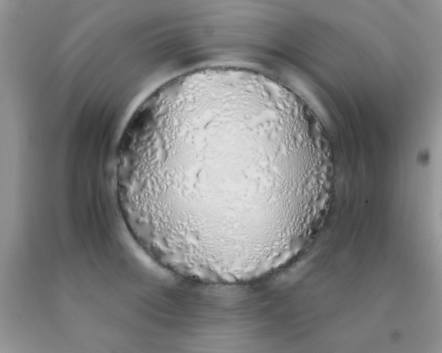 X0000091341092200709071213