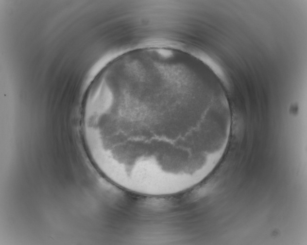 X0000091341094200709071213