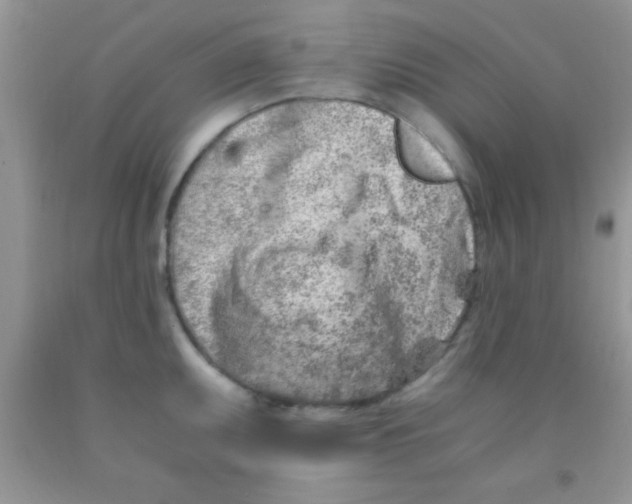 X0000091341095200709071213