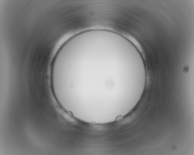 X0000091341096200709071213