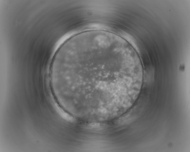 X0000091341098200709071213