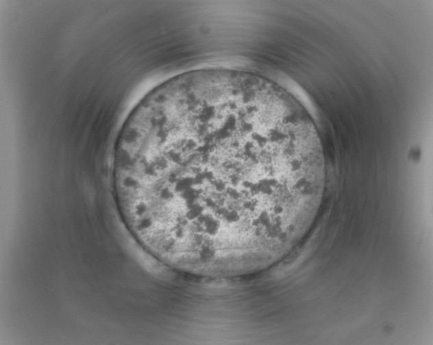 X0000091341099200709071213