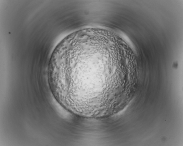 X0000091341100200709071213