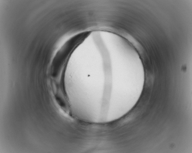 X0000091341102200709071213