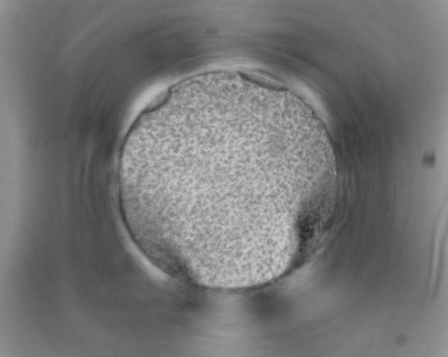 X0000091341103200709071213