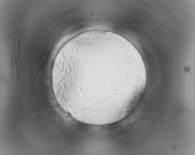 X0000091341104200709071213